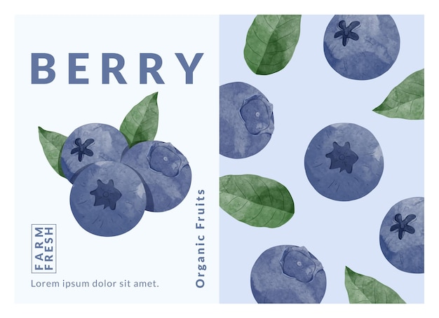 Blue berry packaging design templates watercolour style vector illustration