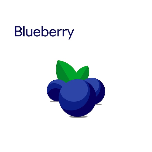 Vector blue berry