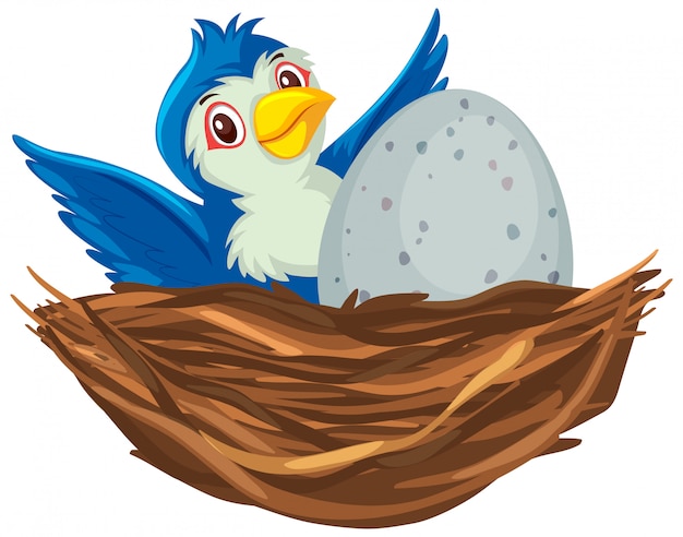 Vector blue bird on the nest