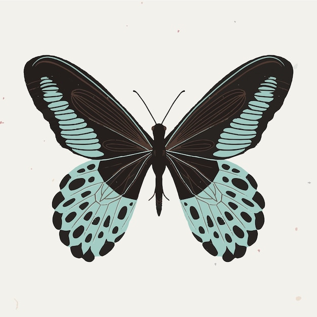 Blue and black hand drawn butterfly design