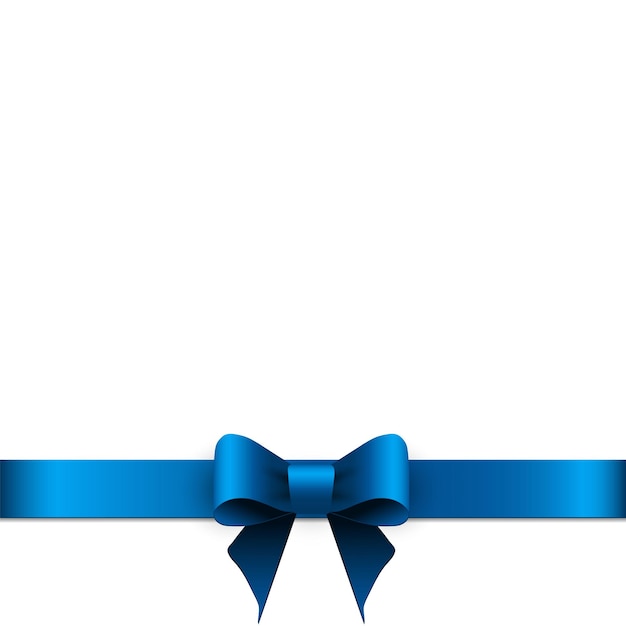 Blue bow