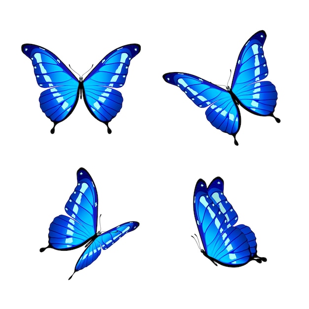 Vector blue butterflies