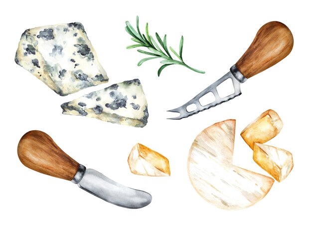 Vector blue cheese and bri cheese with herbs and cheese knives watercolor illustration