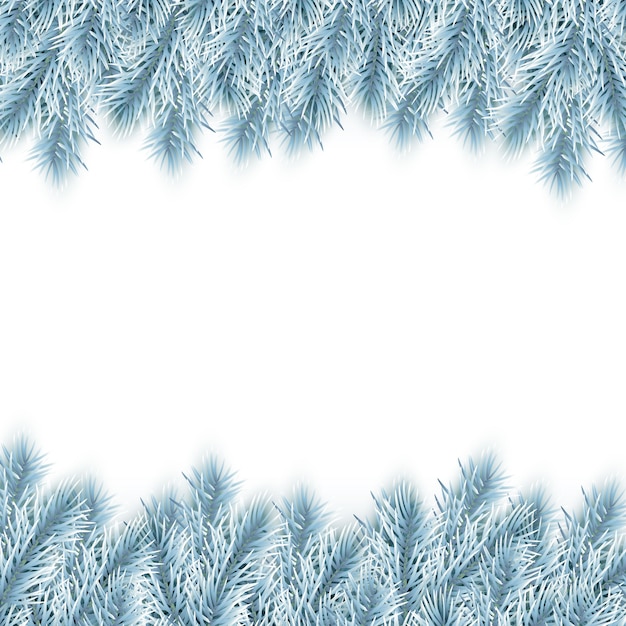 Blue Christmas Fir Tree Branches geïsoleerd op wit