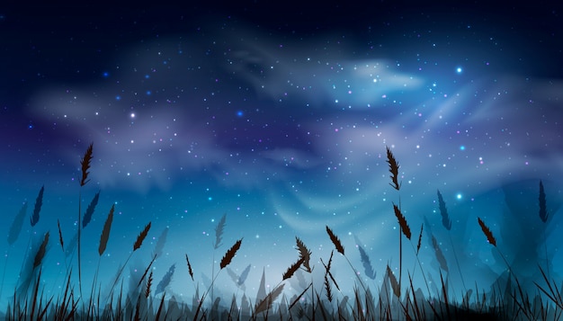 Vettore cielo notturno scuro blu con molte stelle brillanti, sfondo naturale delle nuvole sopra il campo di erba. progettazione di sfondo del cielo notturno. illustrazione.