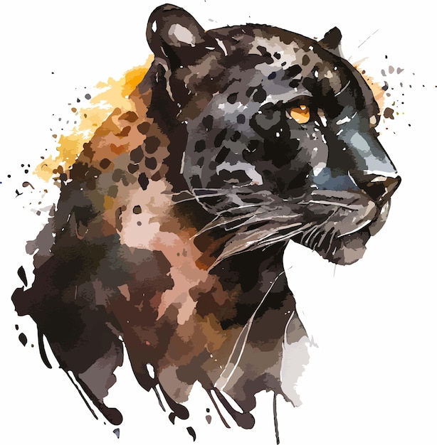 Vector blue eyed jaguar and leopard watercolor vector