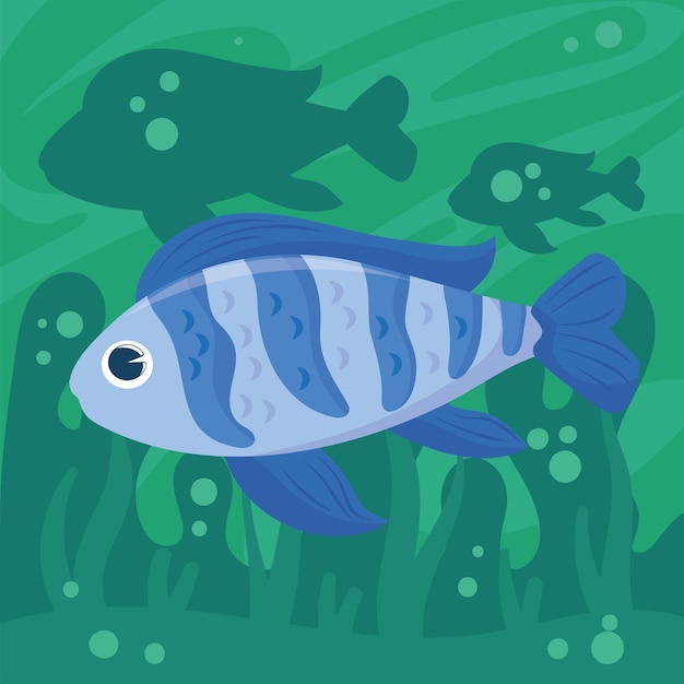 Vector blue fish algae