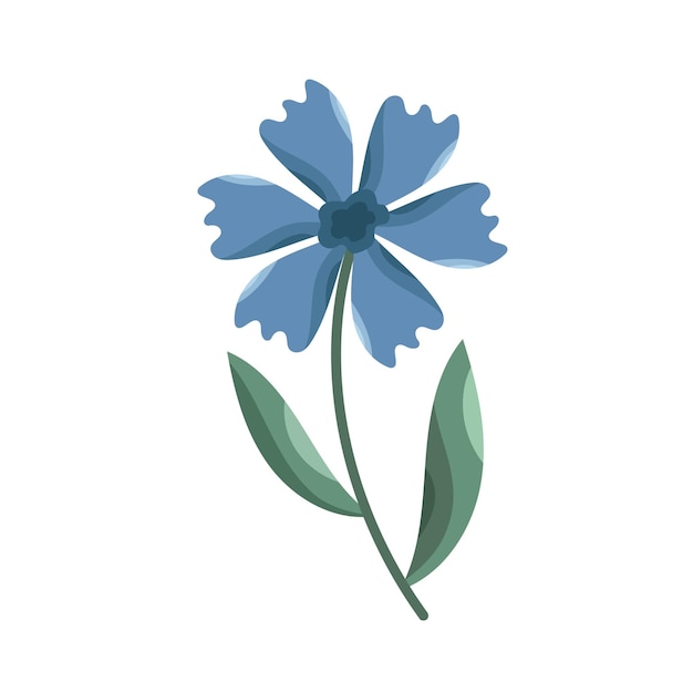 Vector blue flower vector cornflower isolated illustration