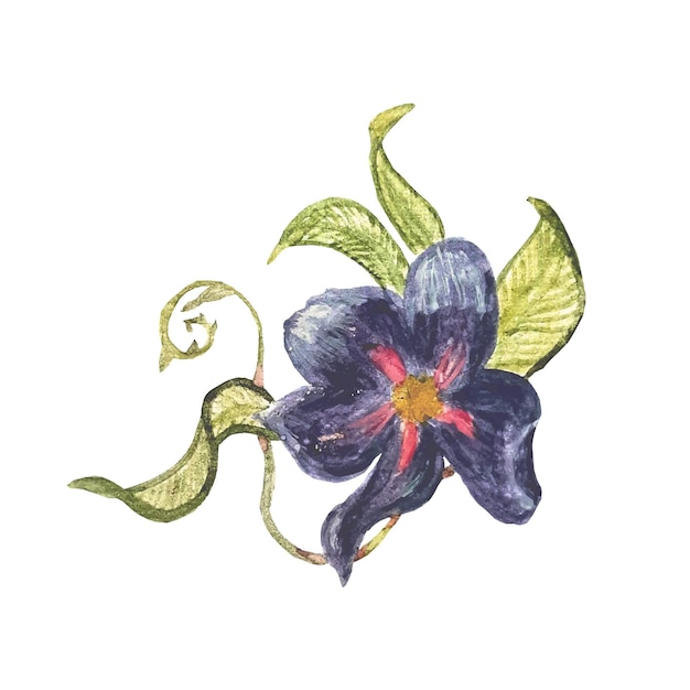 Вектор Голубой цветок. акварельные цветочные иллюстрации. цветочный декоративный элемент. изолированный объект на белом фоне.