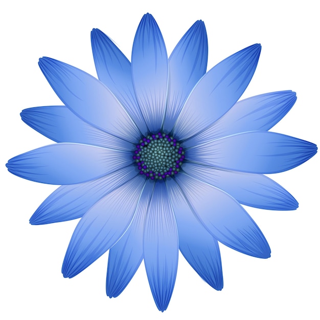 Un fiore blu con un petalo blu su sfondo bianco