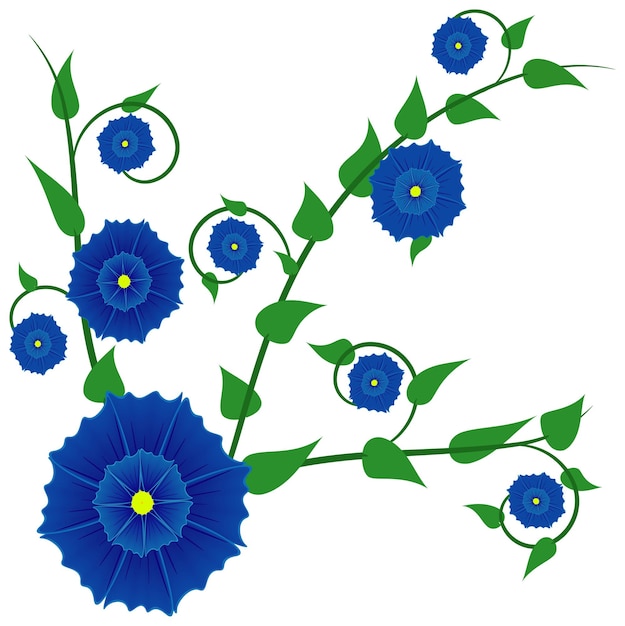 Blue flower