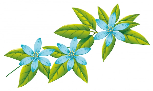 blue flowers and green leaves on white 