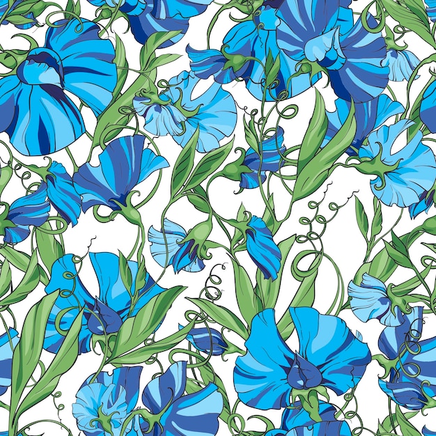 Blue flowers sweet pea on a white background floral seamless pattern