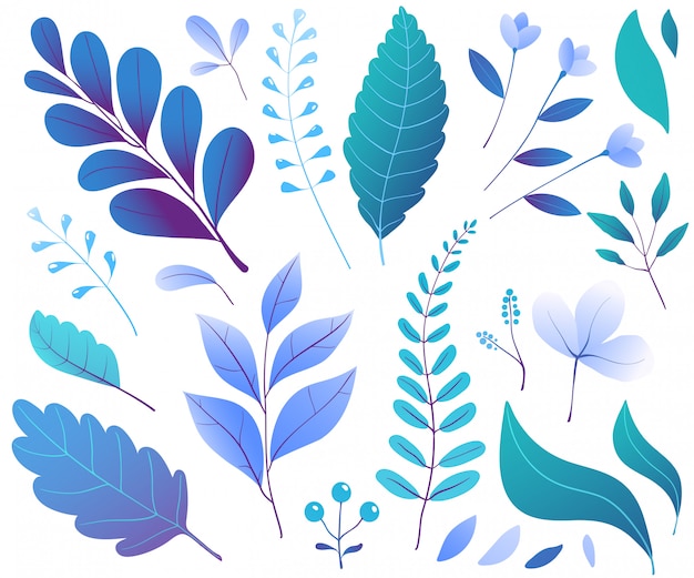 Vector blue forest leaves illustrations set