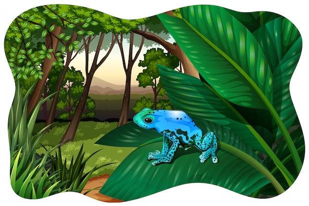 Vector blue frog