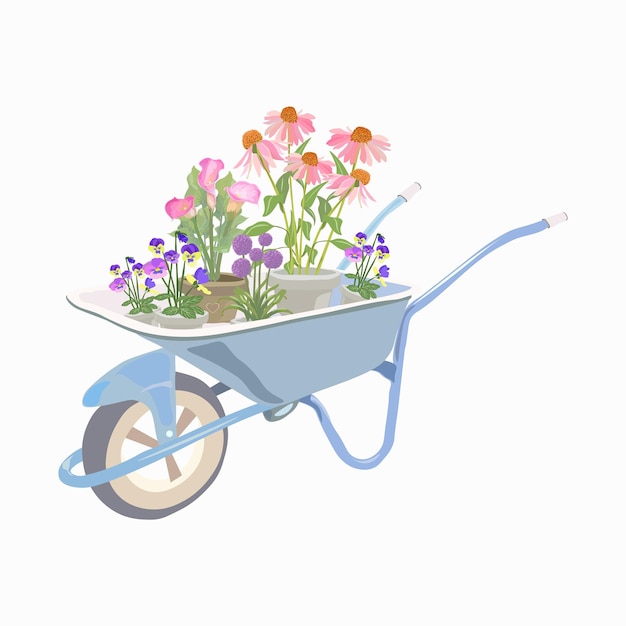 blue garden cart with potted flowers allium pansy echinacea calla
