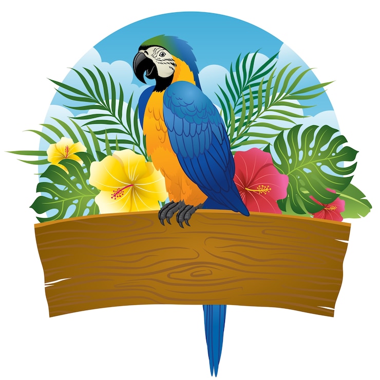 Vector blue and gold macaw sit on wooden banner