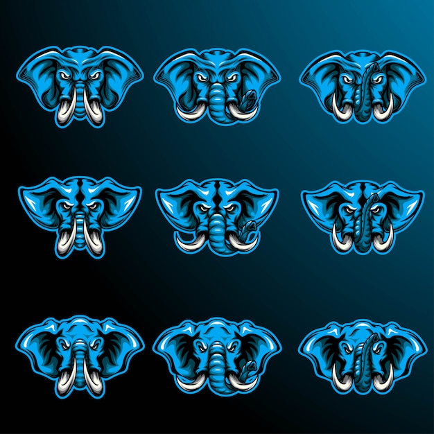 Set testa di elefante blu