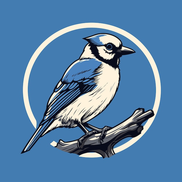 Blue jay bird on a branch vector illustration in retro style