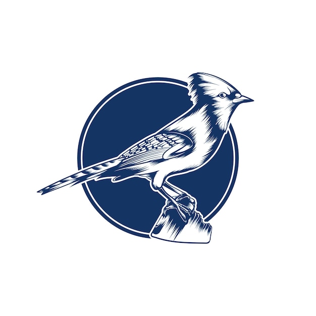 Logo blue jay birds dettagliato su blu con un cerchio