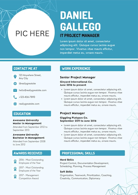 Vector blue minimalist information technology project manager professional resume