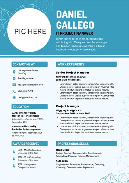 Vector blue minimalist information technology project manager professionele cv