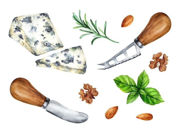 Vettore formaggio a muffa blu con noci e coltelli da formaggio illustrazione a acquerello disegnata a mano