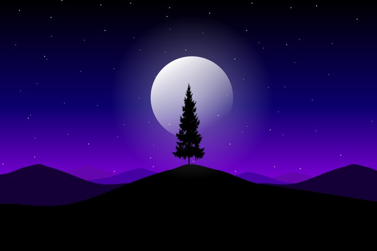 Vector blue night sky with pine tree silhouette on mountain landscape