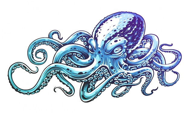 Blue octopus vintage  engraving style vector illustration of octopus.