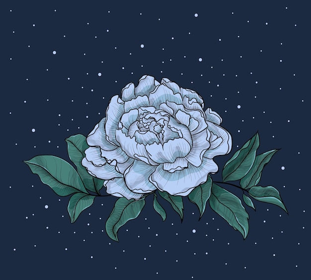 Grafica peonia blu su sfondo blu scuro. clipart per inviti e biglietti per un matrimonio o un compleanno. peonie blu contorno nero bella composizione con punti