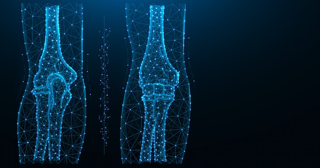 Blue polygonal illustration of the elbow joint, posterior and anterior view