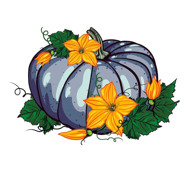 blue pumpkin with green leaves and yellow flowers on a white background. autumn composition