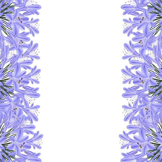 Vector blue purple agapanthus border