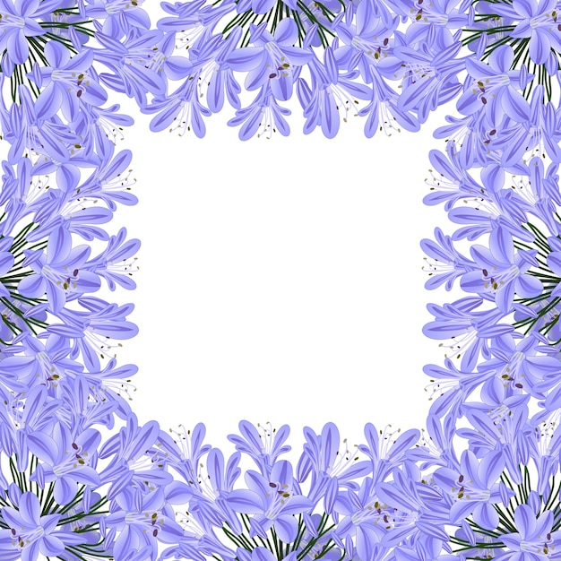 Bordo blu dell'agapanthus viola