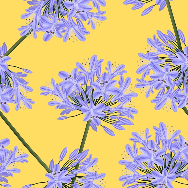 Blue Purple Agapanthus on Yellow Background