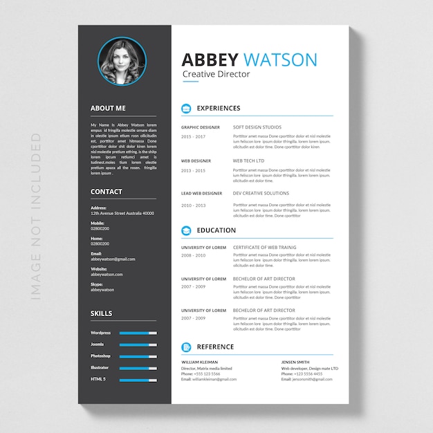 Vector blue resume mockup