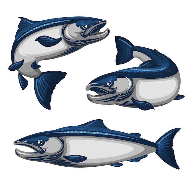 Vector blue salmon fish illustration