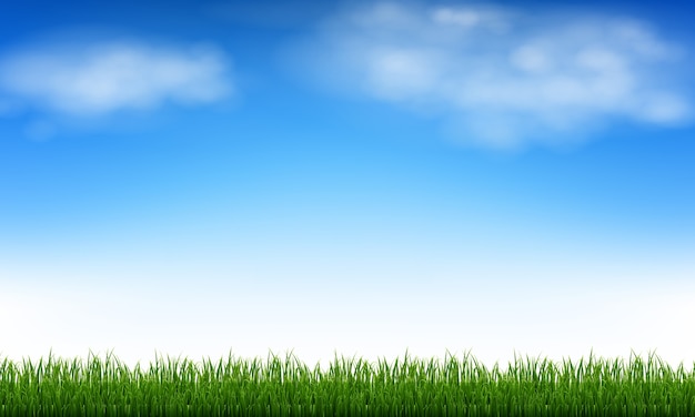 Vector blue sky and clouds and green grass with gradient mesh,  illustration