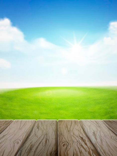 blue sky and field of green grass