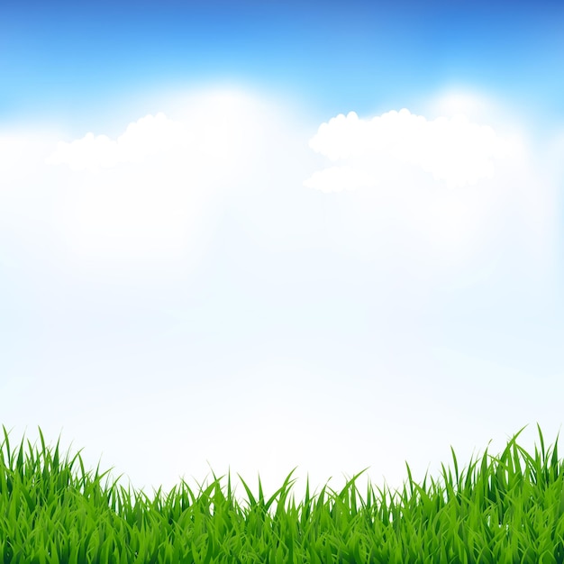 Vector blue sky and greeen grass