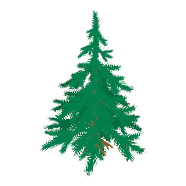 Vector blue spruce icon isometric vector freestanding evergreen coniferous tree icon plant nature flora environment