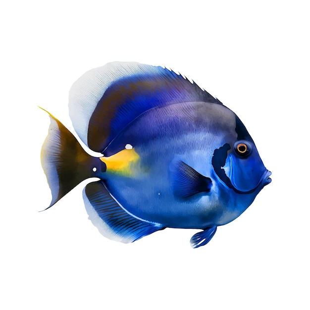 Blue tang aquarel verf