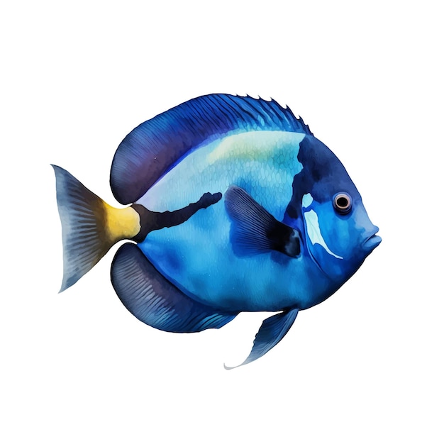 Vector blue tang watercolor paint