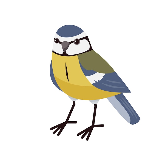 Blue tit in cartoon style isolated on a white background Winter birds