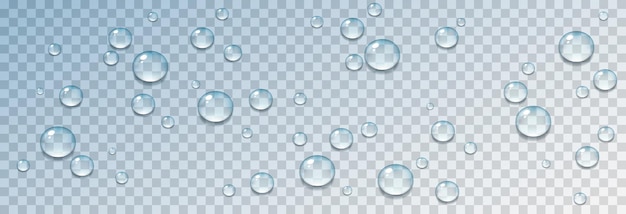 Vector blue water drops. drops, condensation on the surface. realistic drops on transparent.