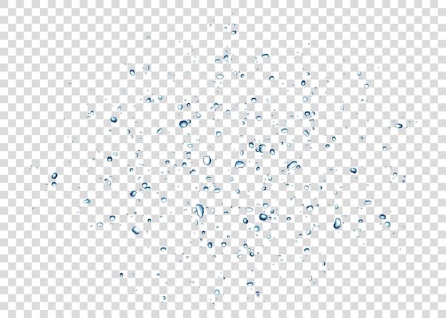 푸른 물 방울 투명 한 배경에 고립입니다. 벡터 텍스처입니다.