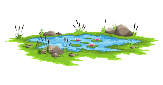 Blue water pond with reeds and stones around. Natural pond outdoor scene. Concept of open small swamp lake in natural landscape style. Graphic design for spring season