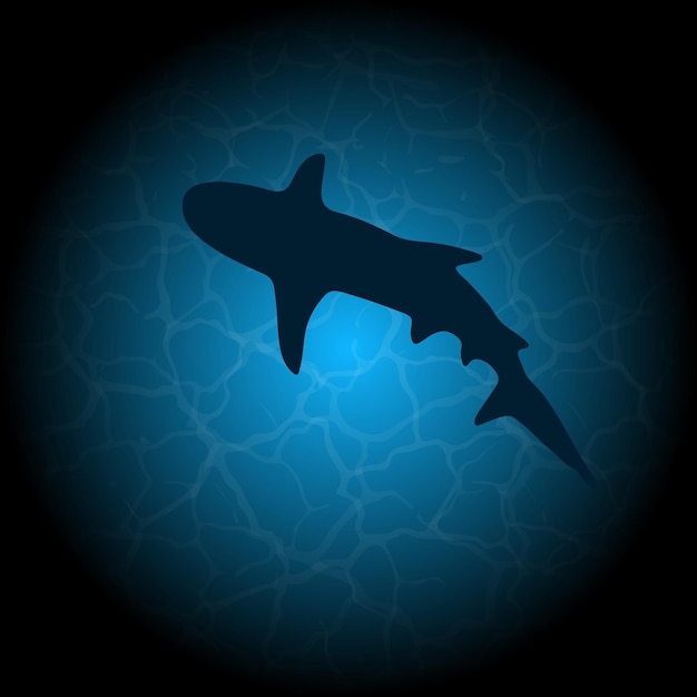 Vector blue water shark silhouette