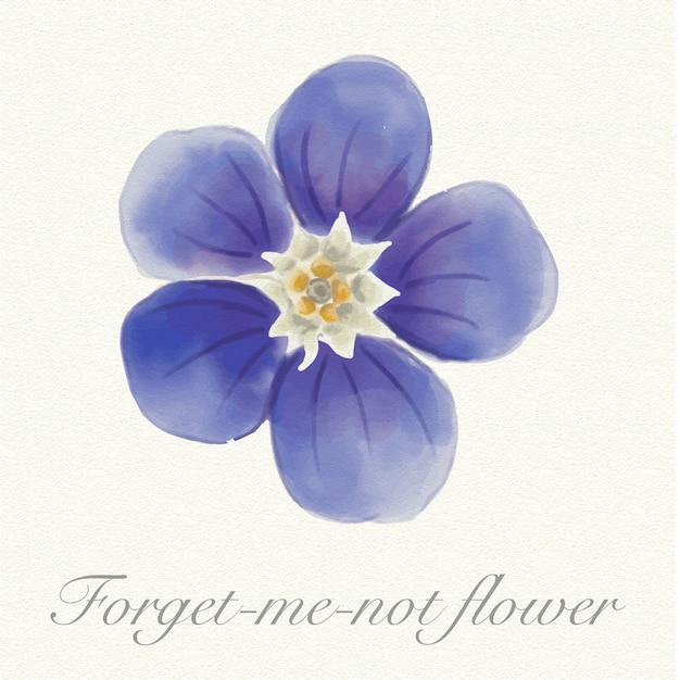 Vector blue watercolor forget-me-not flower isolated