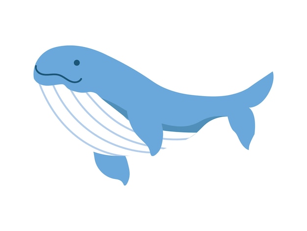 Blue Whale Illustration Design Marine Life